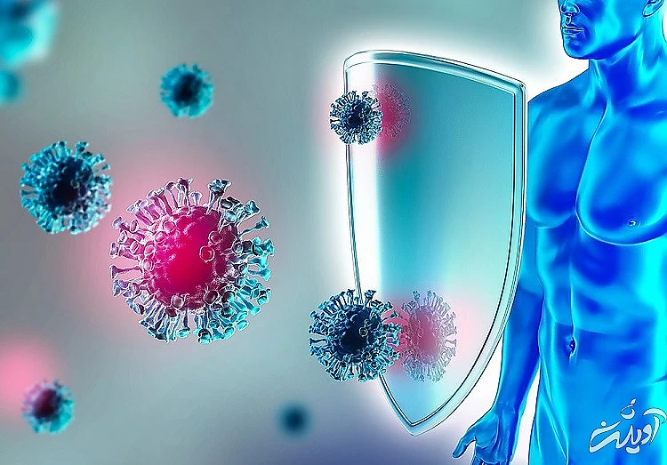 تقویت سیستم ایمنی بدن برای افزایش قد راههایی ساده و عملی برای افزایش قد